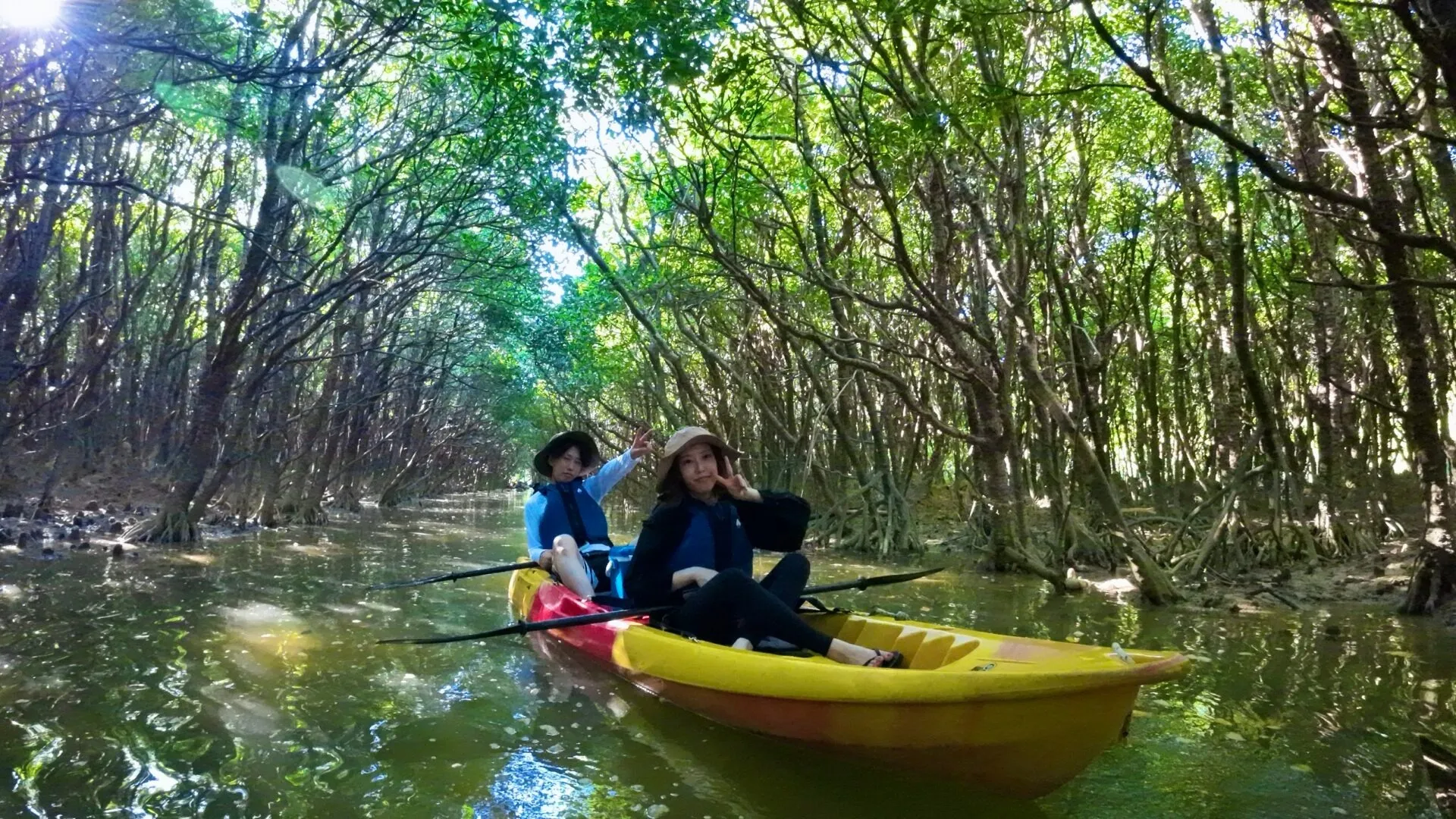 マングローブのトンネル@慶佐次川マングローブ